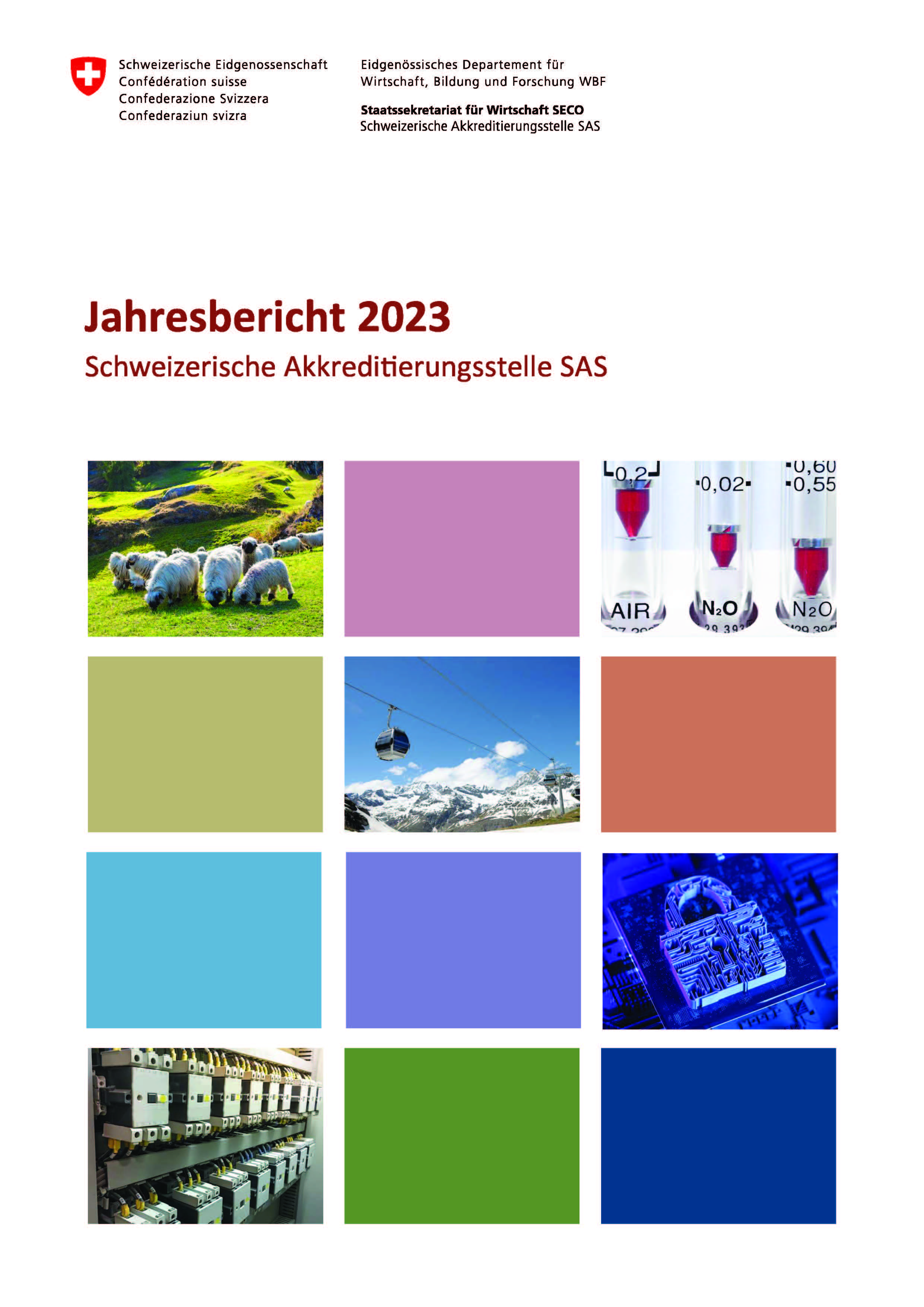 Cover Jahresbericht 2021 de